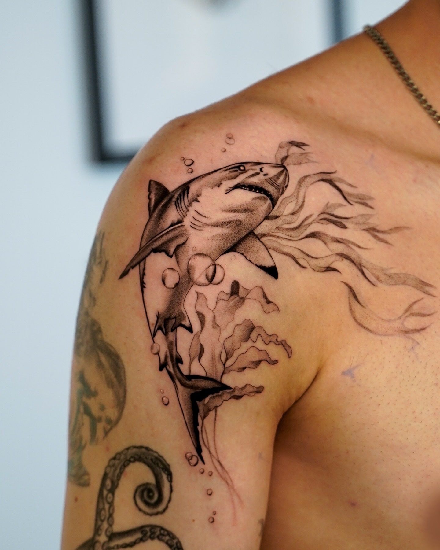 Finely shaded shark with bubbles and kelp on a shoulder.