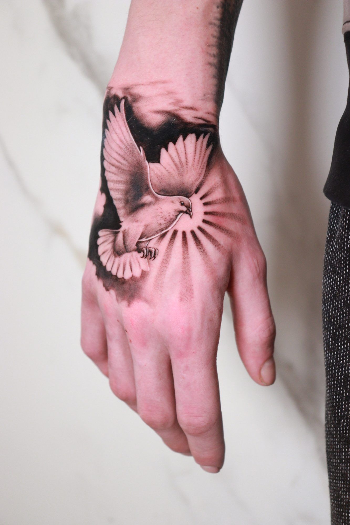 Dove in flight with light rays on the back of a hand.
