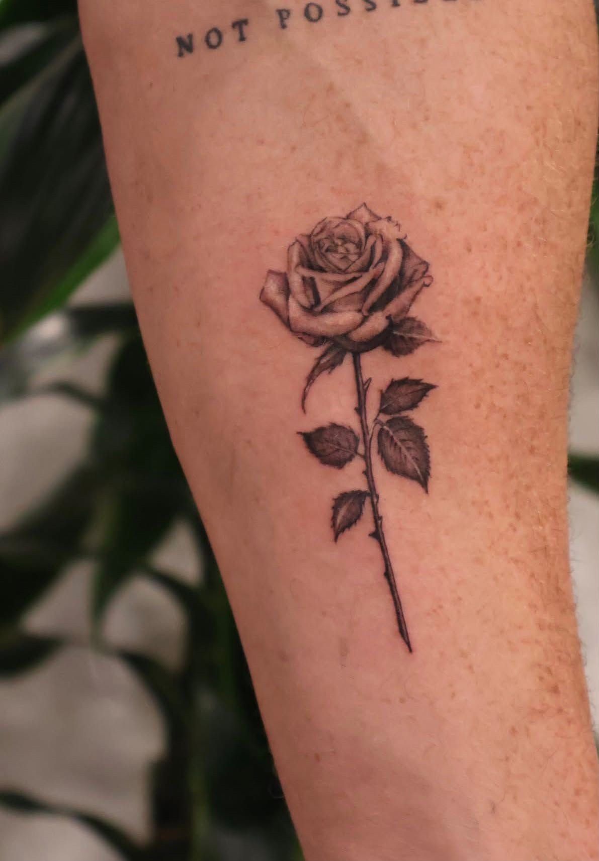 Single long-stemmed rose in fine line on a forearm.